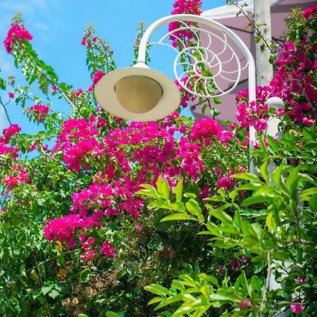 Bougainville Bay * Sarandë