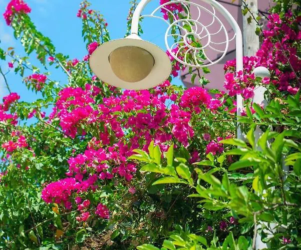 Bougainville Bay * Saranda