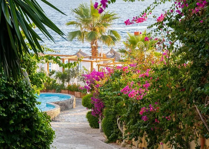 Apartament Bougainville Bay *
